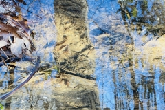 creek bed reflection